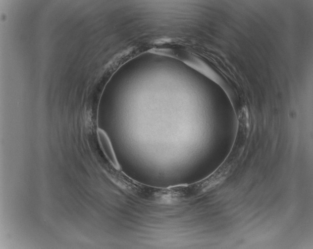 X0000065970564200603061152