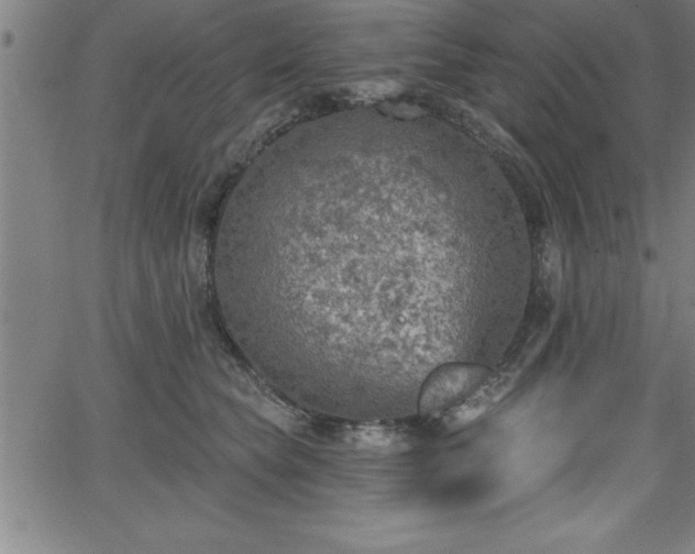 X0000065970565200603061152