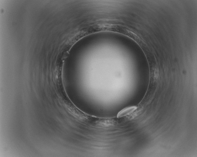 X0000065970567200603061152