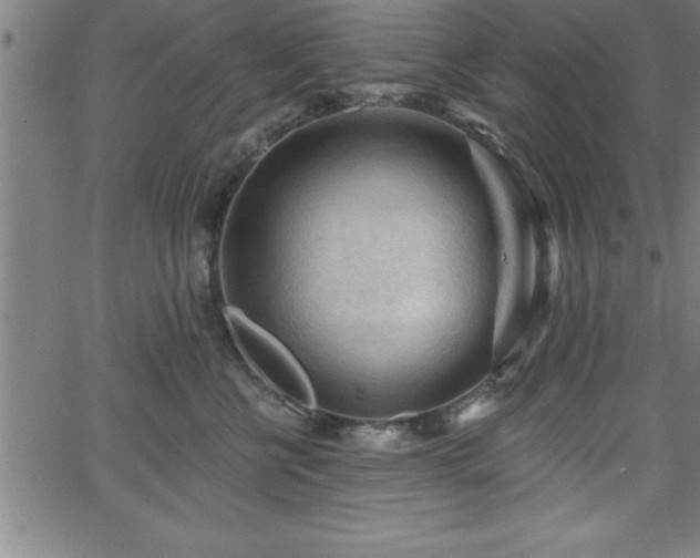 X0000065970570200603061152