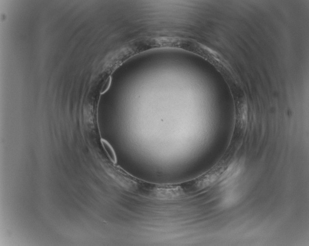 X0000065970571200603061152