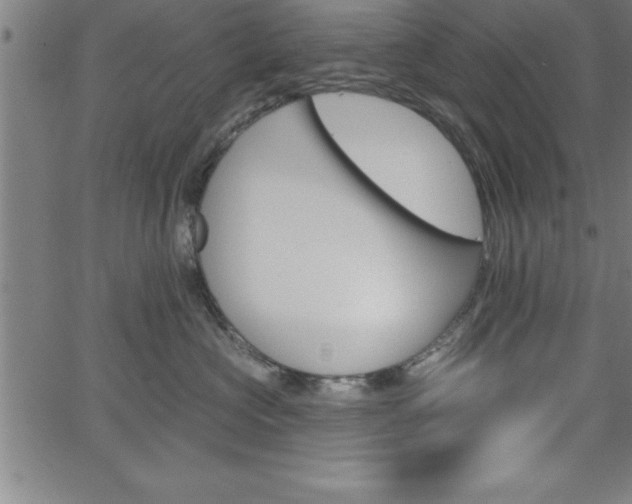 X0000065970573200603061152