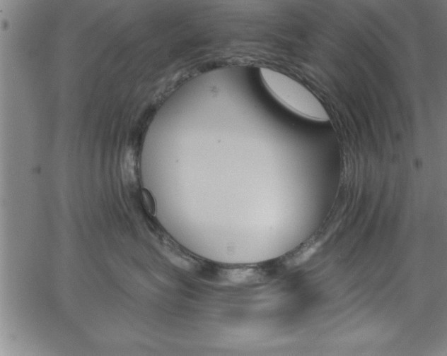 X0000065970575200603061152