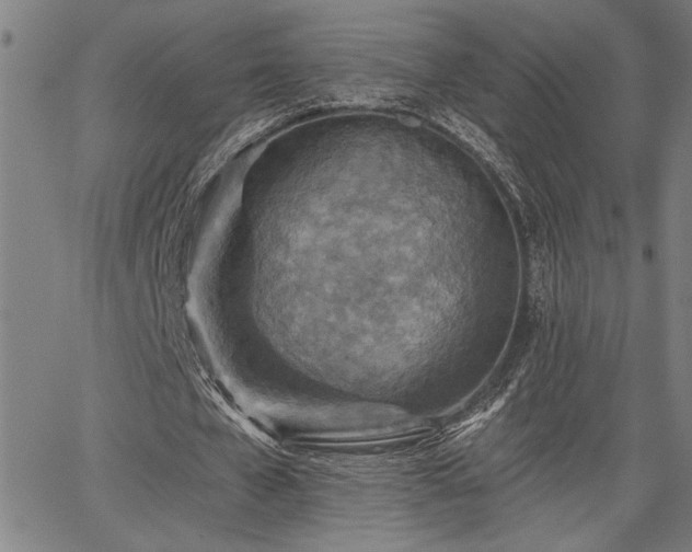 X0000065970577200603061152