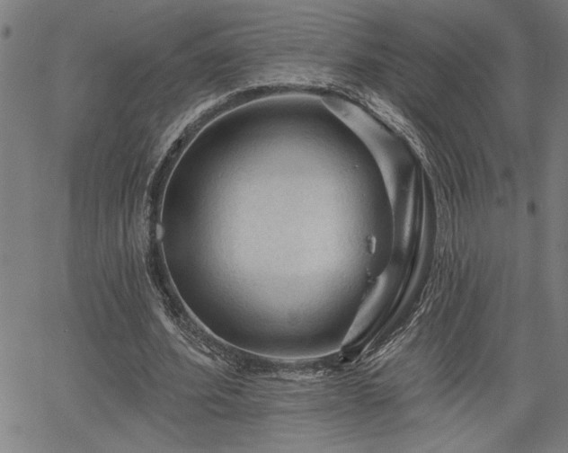 X0000065970580200603061151