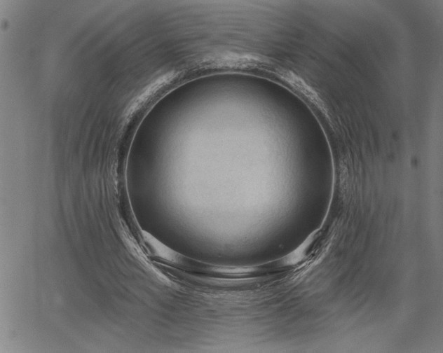 X0000065970581200603061151