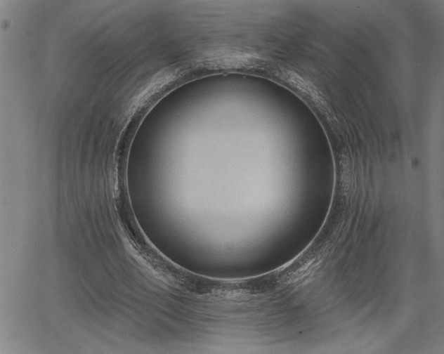 X0000065970582200603061151