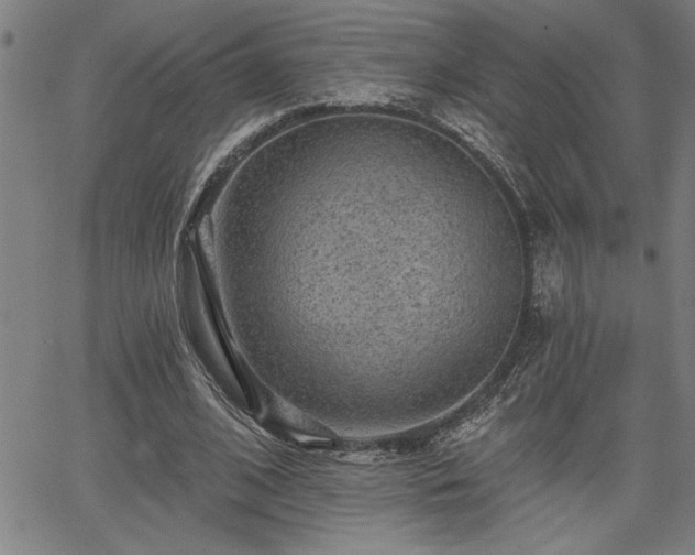 X0000065970584200603061151