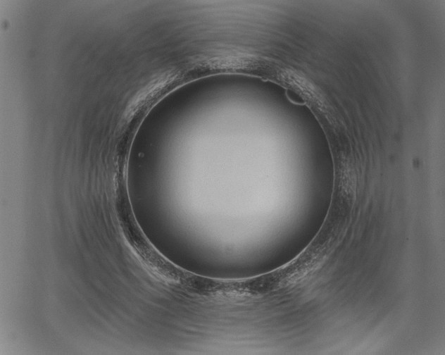 X0000065970586200603061151