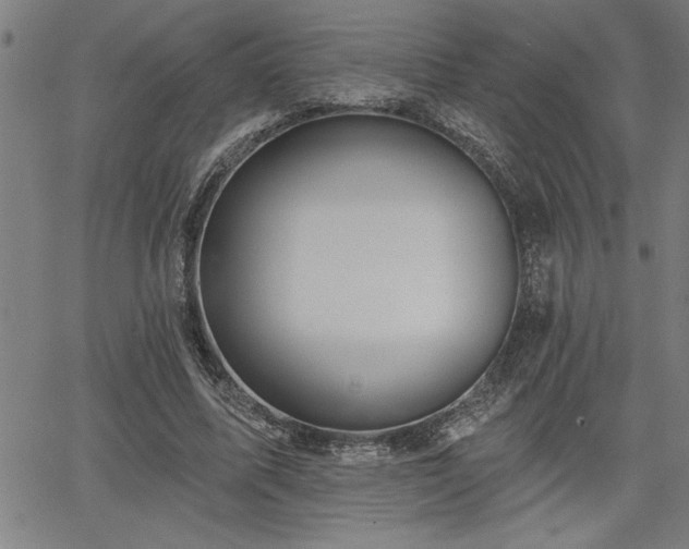 X0000065970587200603061151