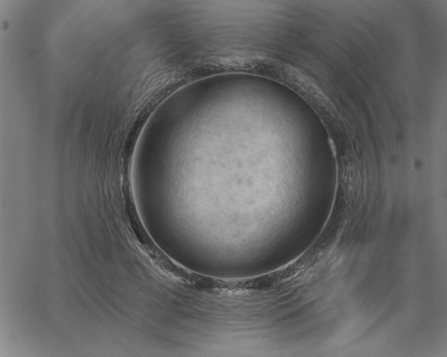 X0000065970593200603061151