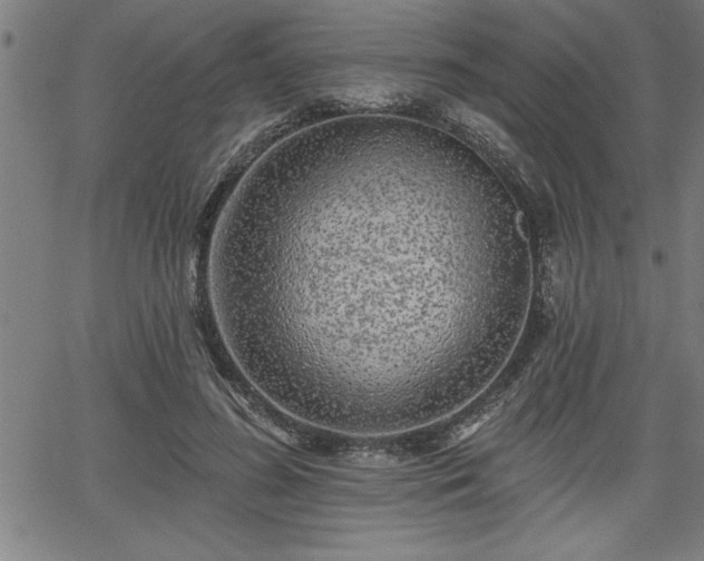 X0000065970596200603061151