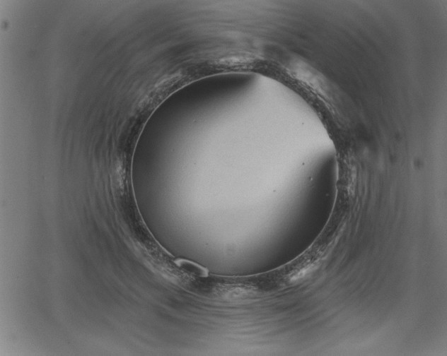 X0000065970597200603061151