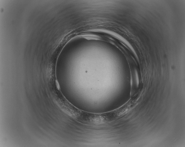 X0000065970600200603061151