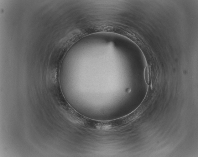 X0000065970602200603061151