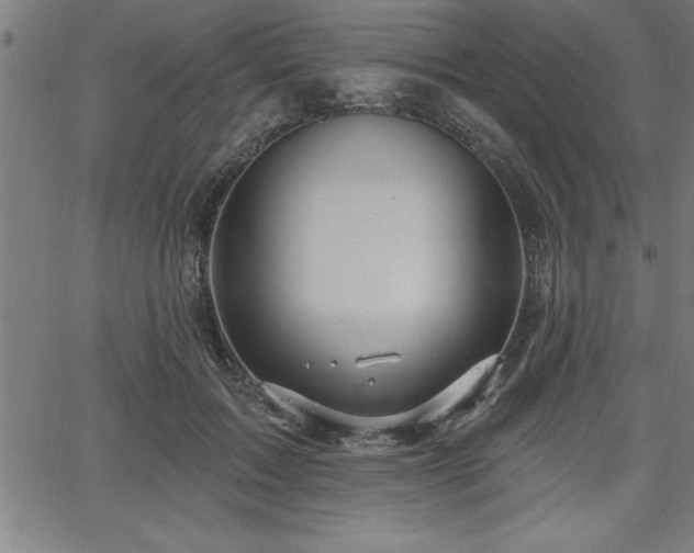 X0000065970603200603061151