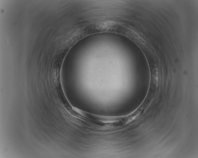 X0000065970605200603061151