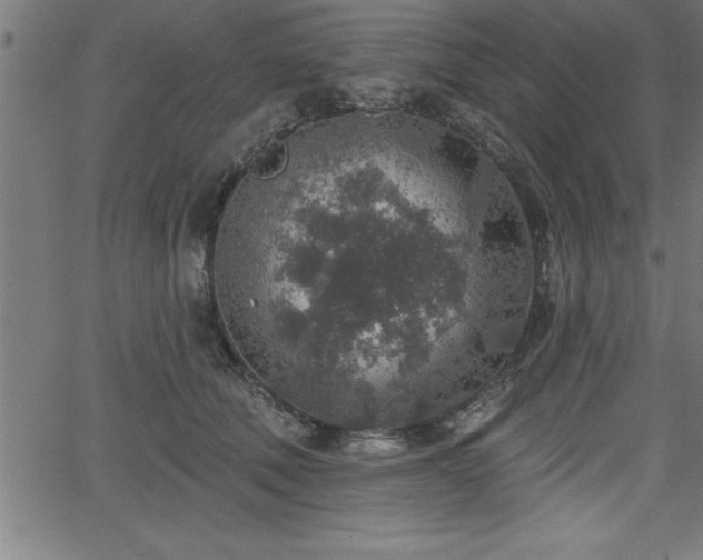 X0000065970610200603061151