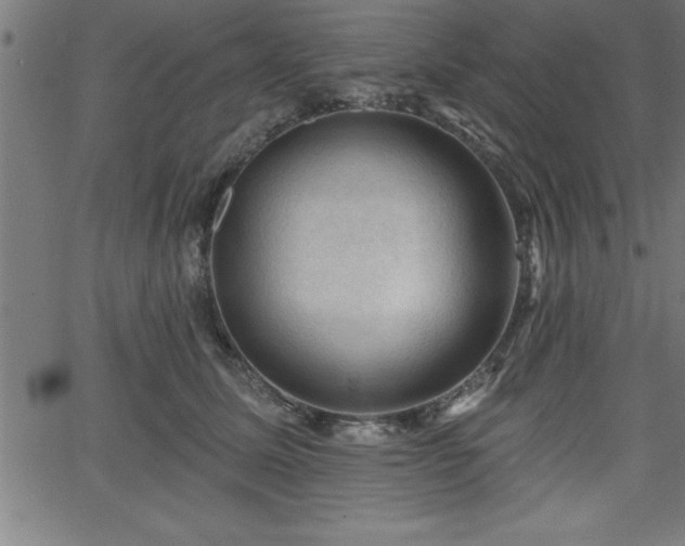 X0000065970611200603061151