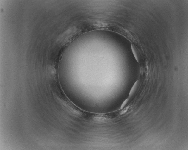 X0000065970614200603061151