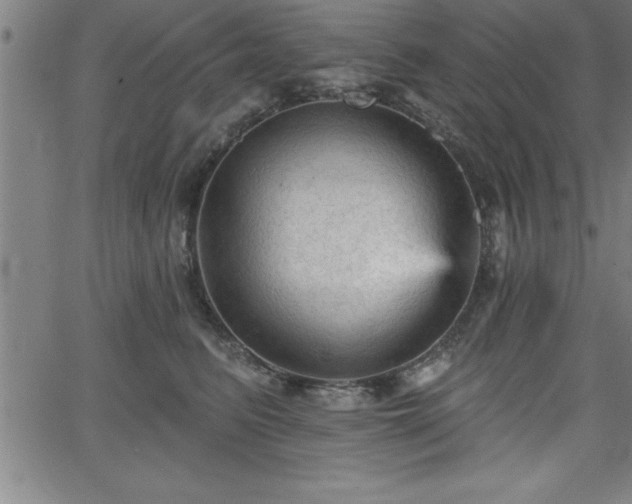 X0000065970615200603061151