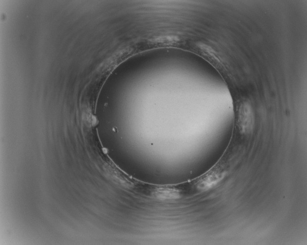 X0000065970617200603061151