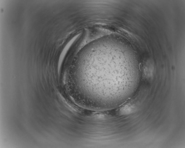 X0000065970620200603061151