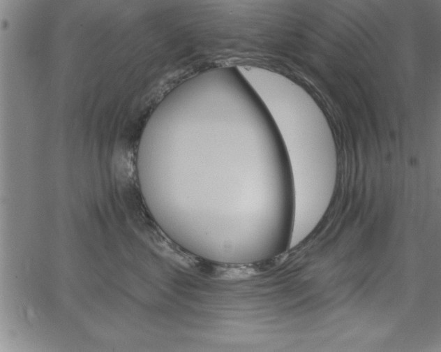 X0000065970621200603061151