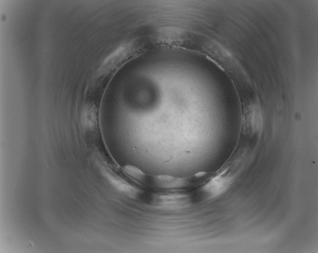 X0000065970623200603061151