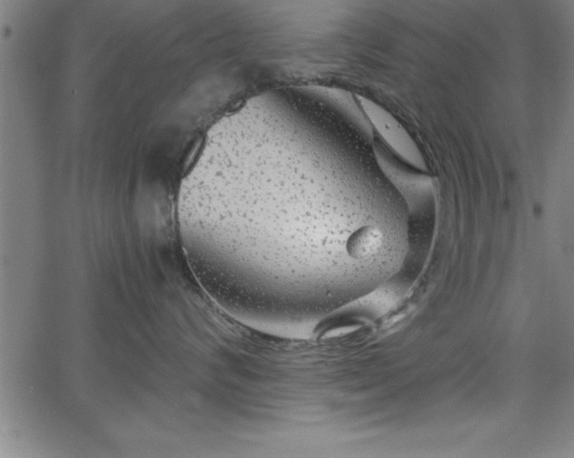 X0000065970624200603061151