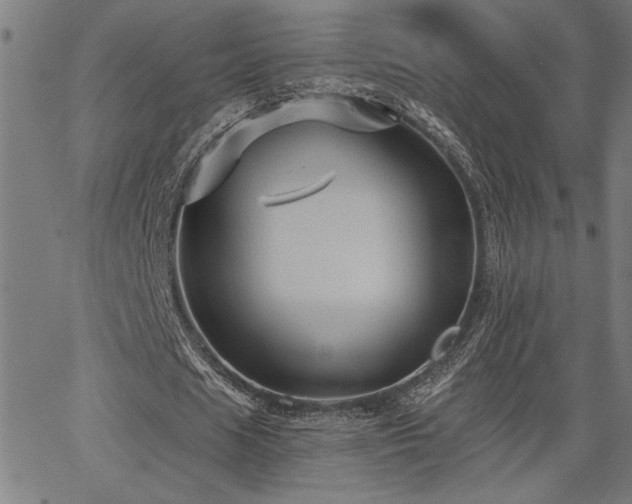 X0000065970625200603061150