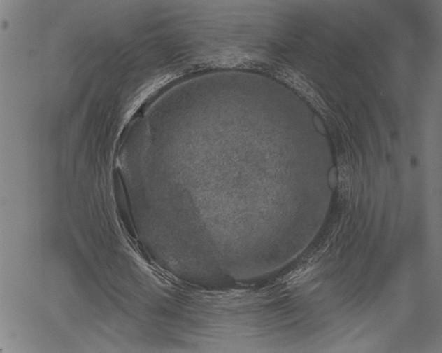 X0000065970626200603061150