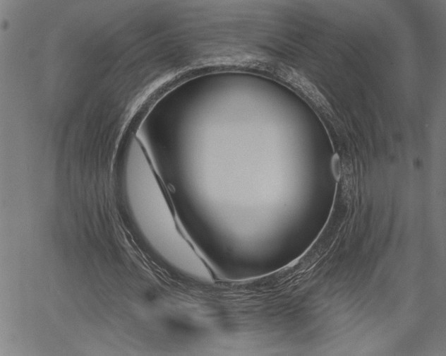 X0000065970628200603061150