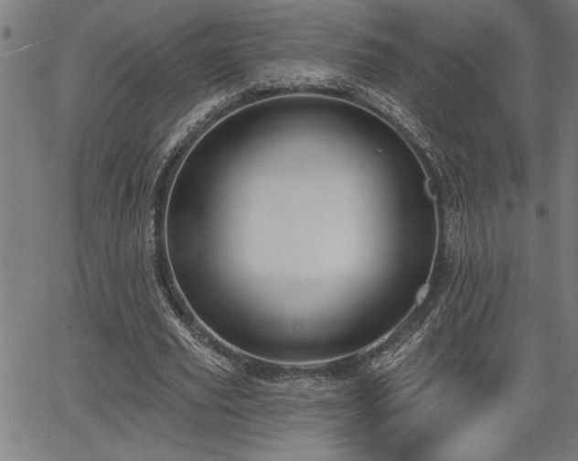 X0000065970629200603061150