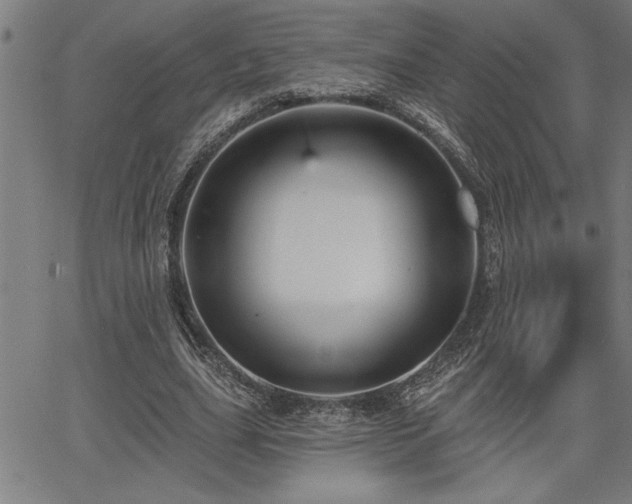 X0000065970631200603061150