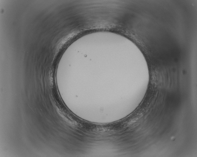 X0000065970632200603061150