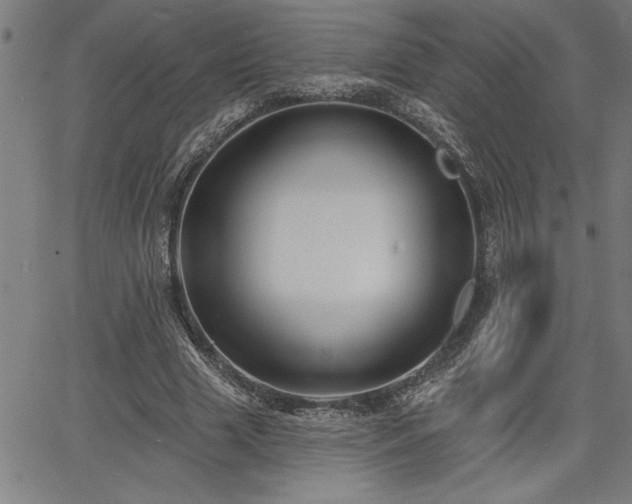 X0000065970633200603061150