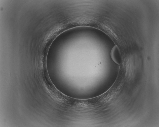 X0000065970635200603061150