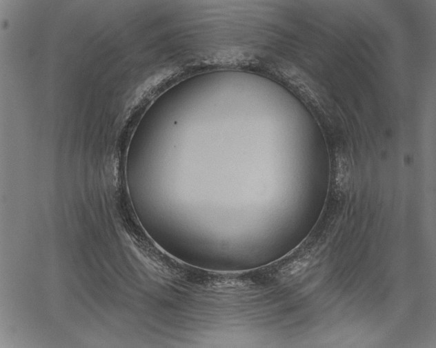 X0000065970636200603061150