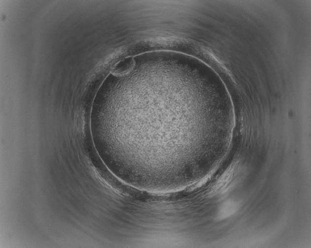 X0000065970637200603061150