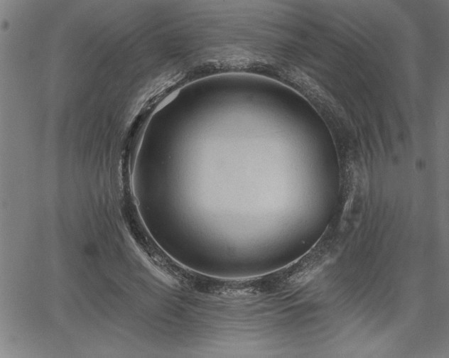 X0000065970638200603061150