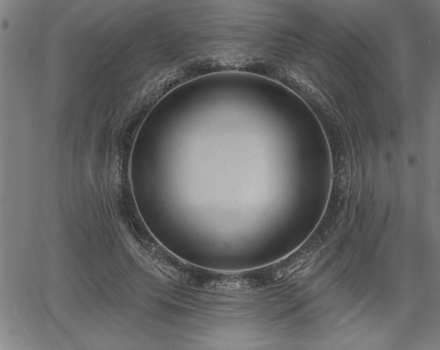 X0000065970639200603061150