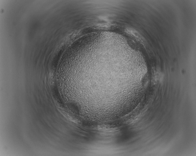 X0000065970641200603061150