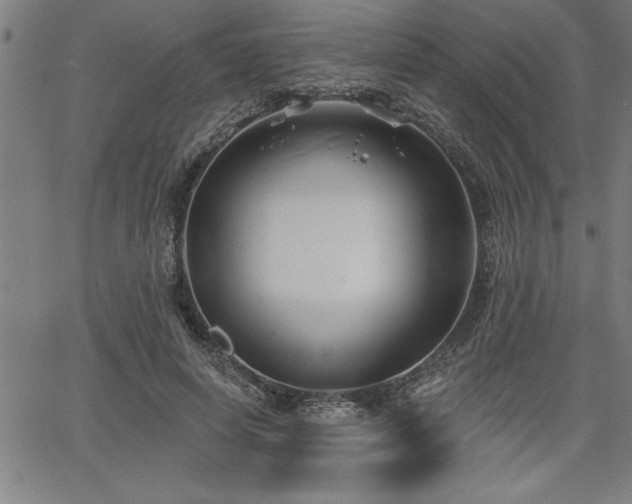 X0000065970642200603061150