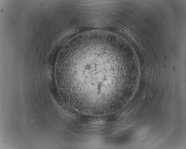 X0000065970643200603061150