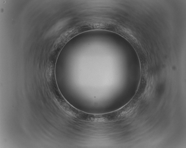 X0000065970645200603061150