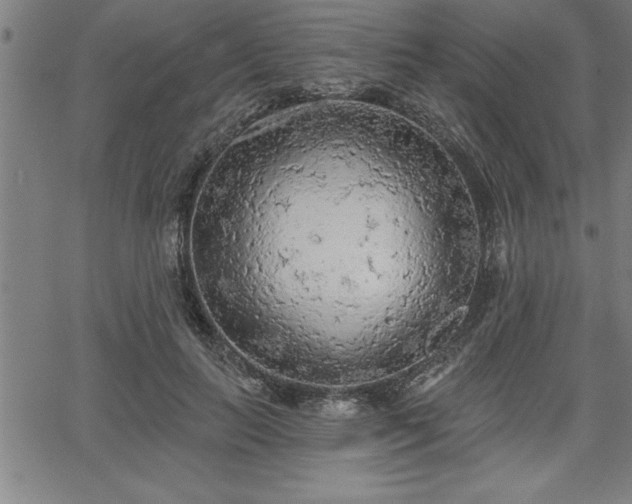 X0000065970647200603061150