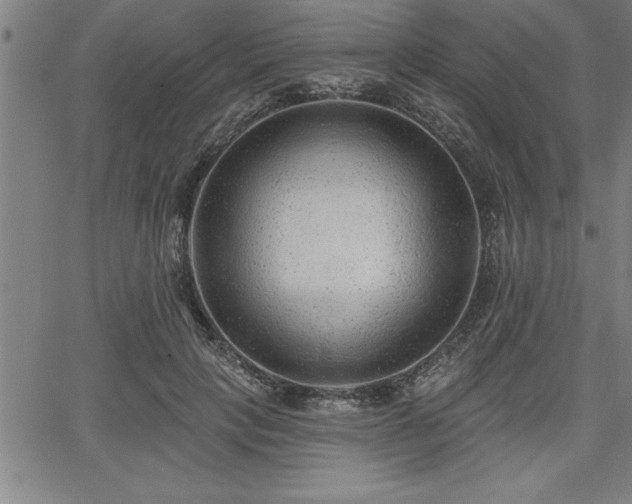 X0000065970649200603061150