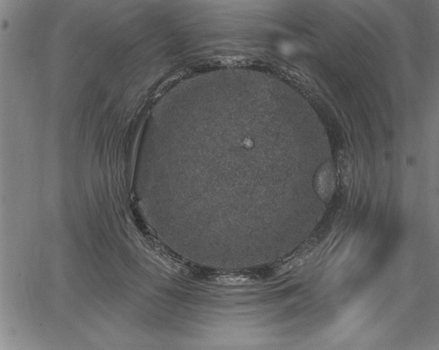 X0000065970650200603061150