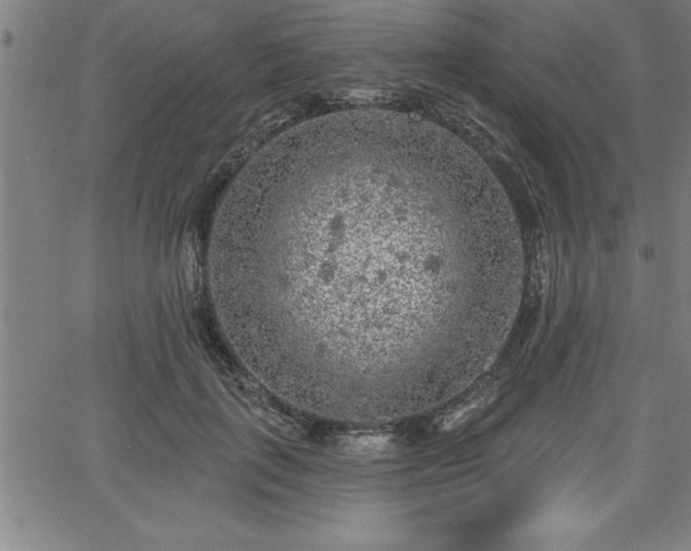 X0000065970651200603061150